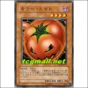 킬러토마토(YSD3-JP017)