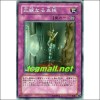 정통되는혈통(STON-JP057)