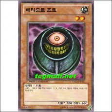 메타모르포트(XS12-KR021)