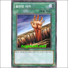 갈라진대지(XS12-KR027)