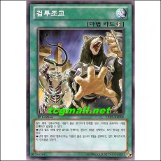 검투조교(EXP5-KR008)
