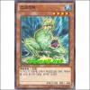 스크리치(SD23-KR015)