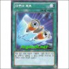 아쿠아제트(SD23-KR026)