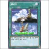 샐비지(SD23-KR029)