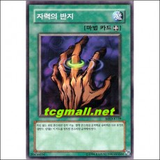 자력의반지(MRD-KR139)