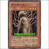 사광신의사자(EXP2-JP006)