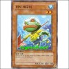미지개구리(EXP2-KR038)
