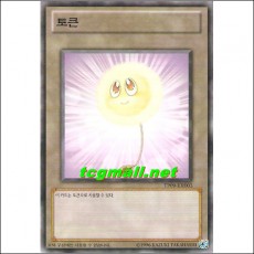 토큰(TP09-KR003)