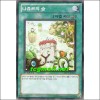 나츄르의숲(DREV-KR051)