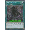 침략의범발감염(HA07-KR068)
