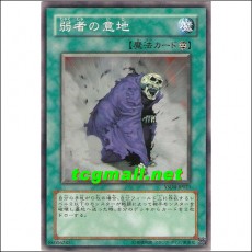 약자의의지(YSD4-JP021)