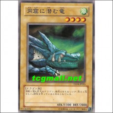 동굴에숨은용(YSD4-JP005)