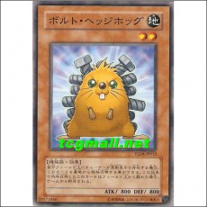 볼트고슴도치(YSD4-JP013)