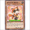 꼬마너구리폼포코(SHSP-KR014)