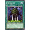 거북이의맹세(SRL-K066)