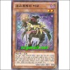 고스트릭의마녀(SHSP-KR018)