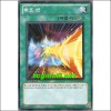 하프셧(YSD5-KR021)