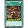 겁쟁이(PGD-KR039)
