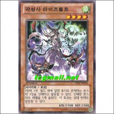 각성사라이즈벨트(SHSP-KR044)
