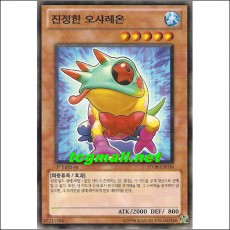 진정한오샤레온(STOR-KR036)