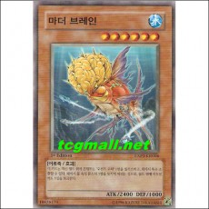 마더브레인(EXP1-KR006)