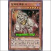 망막의죽은자(PP08-KR007)