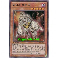 망막의죽은자(PP08-KR007)