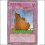 방주의선별(PP01-KR009)