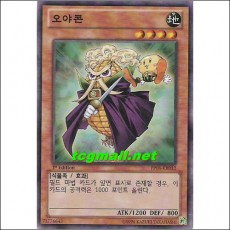 오야콘(PP08-KR012)