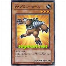 N·그란몰(DP06-JP002)