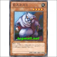 거대쥐(YSD6-JP012)