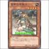 황야의여전사(YSD6-JP020)