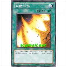 파동공명(YSD6-JP022)