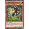 오파츠매드골렘-샤코키(CPZ1-KR003)
