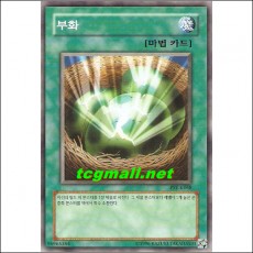 부화(PSV-K068)