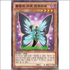 환접의자객큰유리새(CPZ1-KR012)