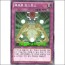 매크로코스모스(GS05-KR018)