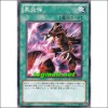 흑염탄(SD22-JP025)