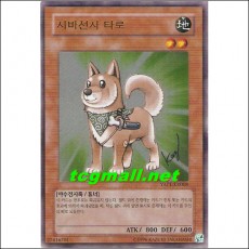 시바전사타로(YAP1-KR008)S-급