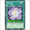 브루멘브랏트(PP02-EN011)