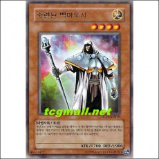 숙련된백마도사(HGP1-KR119)