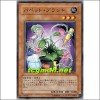 파펫트플랜트(STON-JP022)