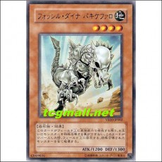 파실다이나파키케팔로(VB10-JP002)