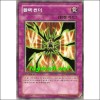 블랙썬더(TSHD-KR066)