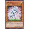 웜호프(ESP4-KR062)