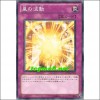 황제의파동(GENF-JP074)