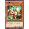 가면룡(ESP4-KR007)