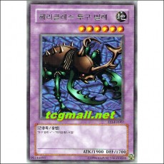 헤라클레스투구벌레(TP3-KR007)A급