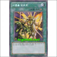 내몸을방패로(MFC-KRPR1)