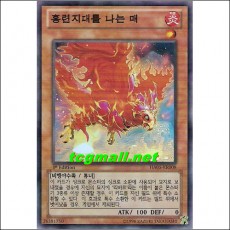 홍련지대를나는매(HA05-KR008)